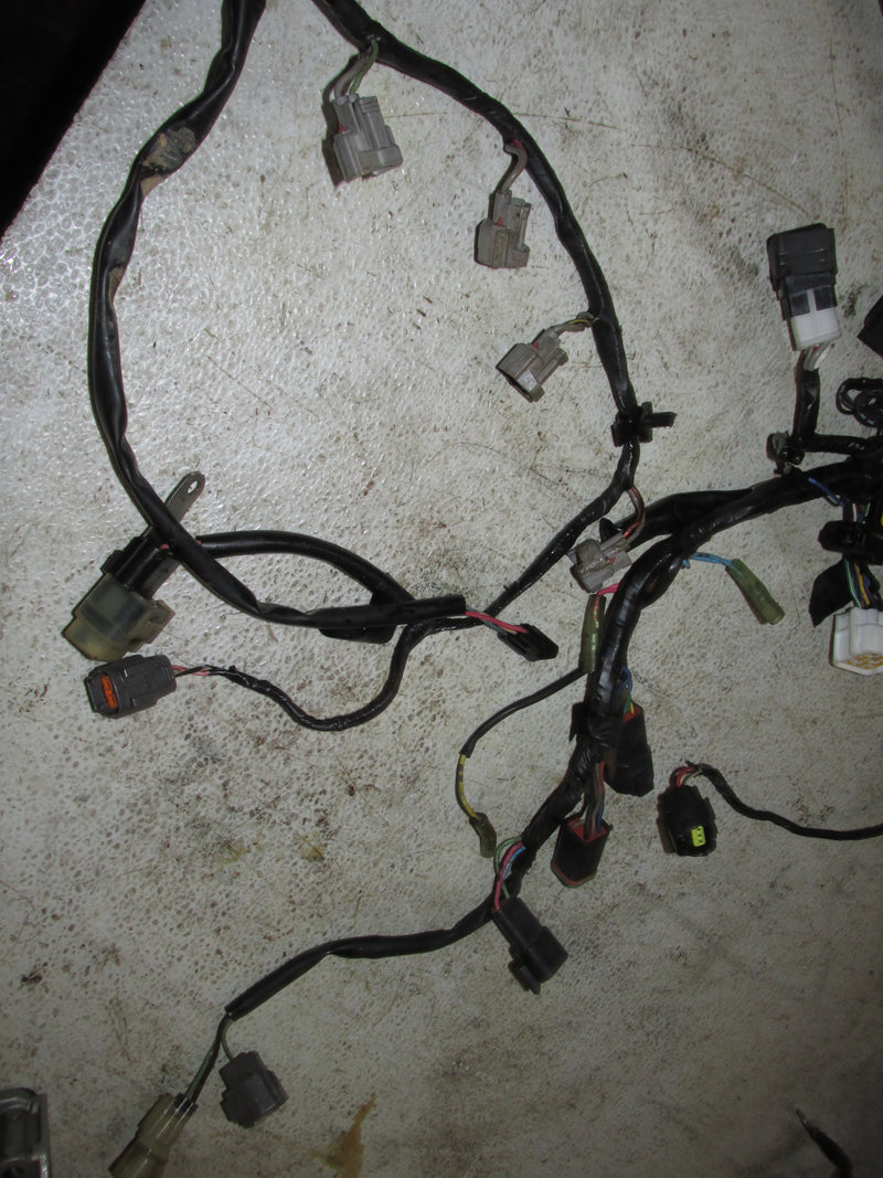 Evinrude 70hp 4 Stroke Outboard Engine Wiring Harness (5032225)