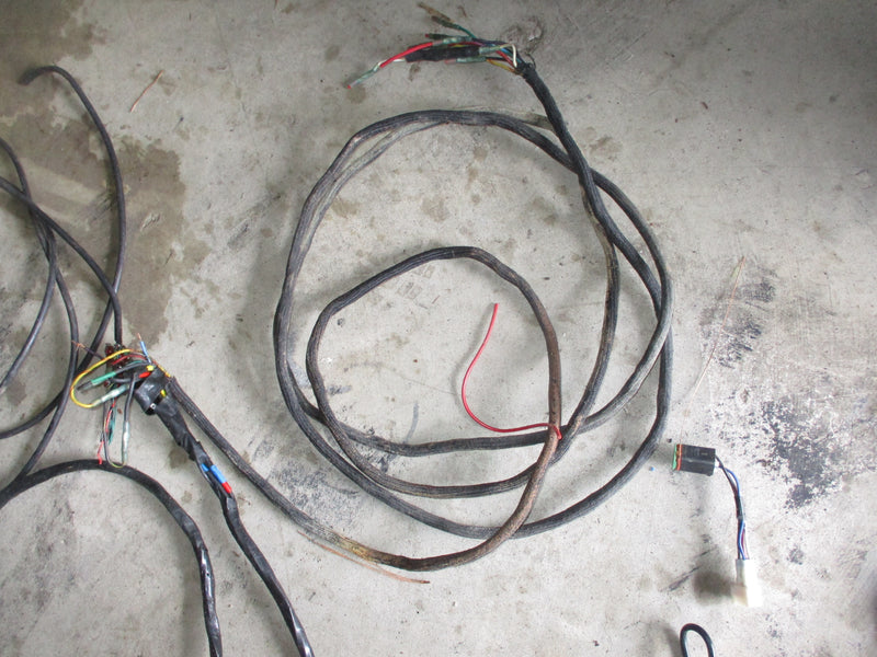 Evinrude ETEC wiring harness components