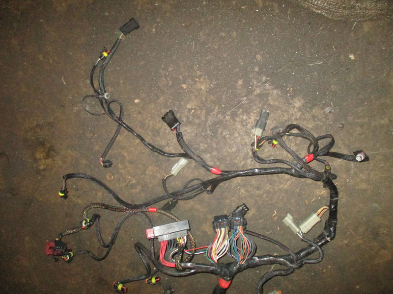 Evinrude ETEC 115hp outboard engine wiring harness (586891)
