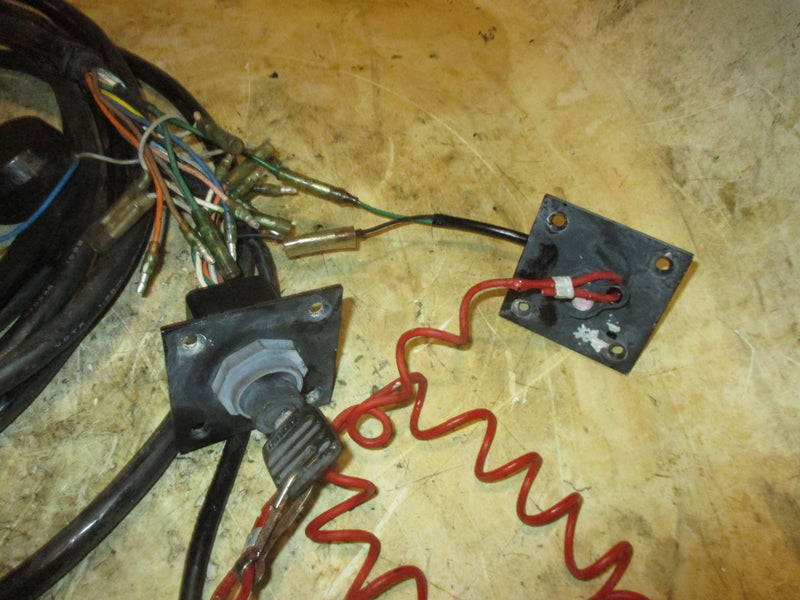 Suzuki DT200 200hp 2 stroke outboard 25FT rigging harness