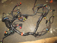 Load image into Gallery viewer, Evinrude Etec 90hp 2 stroke Outboard Engine Wiring Harness (587287)
