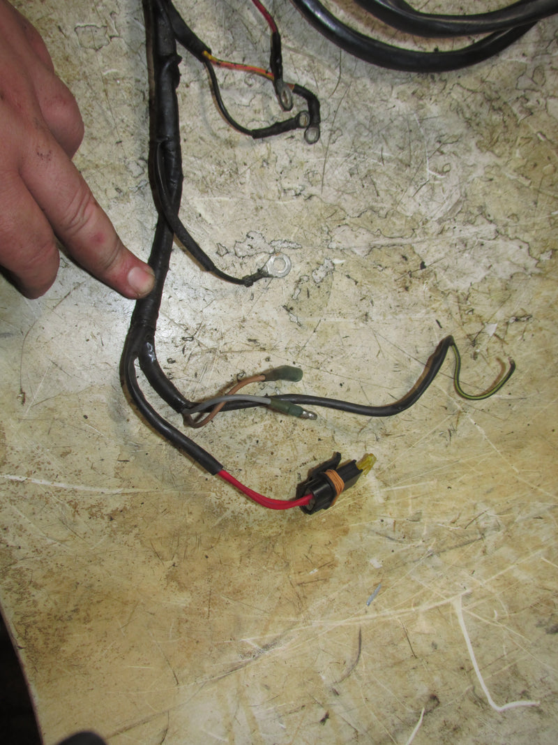 Johnson 9.9hp 2 Stroke Outboard Engine Wiring Harness (586025)