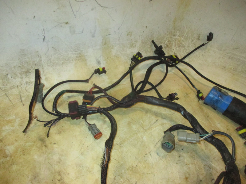 Evinrude ETech 200hp 2 Stroke Outboard Engine Wiring Harness (587003)