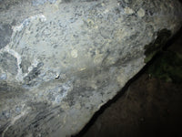 Load image into Gallery viewer, Yamaha 250hp OX66 2 stroke outboard 25" lower unit counter rotation
