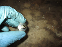 Load image into Gallery viewer, Suzuki DF90A 90hp 4 stroke outboard oil pressure sensor (37820-99E01)
