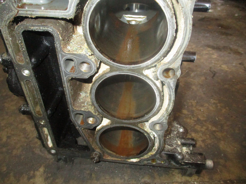 Suzuki DF25 outboard crankcase block