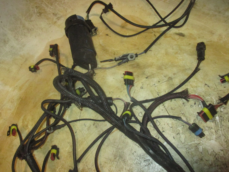 Evinrude ETEC 150p 2 stroke Outboard Engine wiring harness (587003)