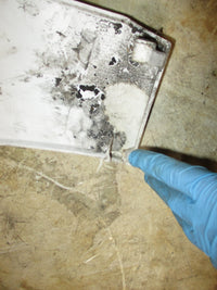 Load image into Gallery viewer, Evinrude 250hp Etec G2 2 stroke outboard cover
