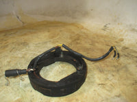 Load image into Gallery viewer, Evinrude 88hp 2 stroke outboard stator (583340)
