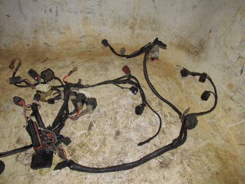 Johnson 90hp 4 Stroke Outboard Engine Wiring Harness (5034605) (Parts)