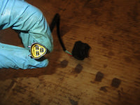 Load image into Gallery viewer, Yamaha 115hp 4 stroke outboard tilt trim switch (69J-82563-01-00)
