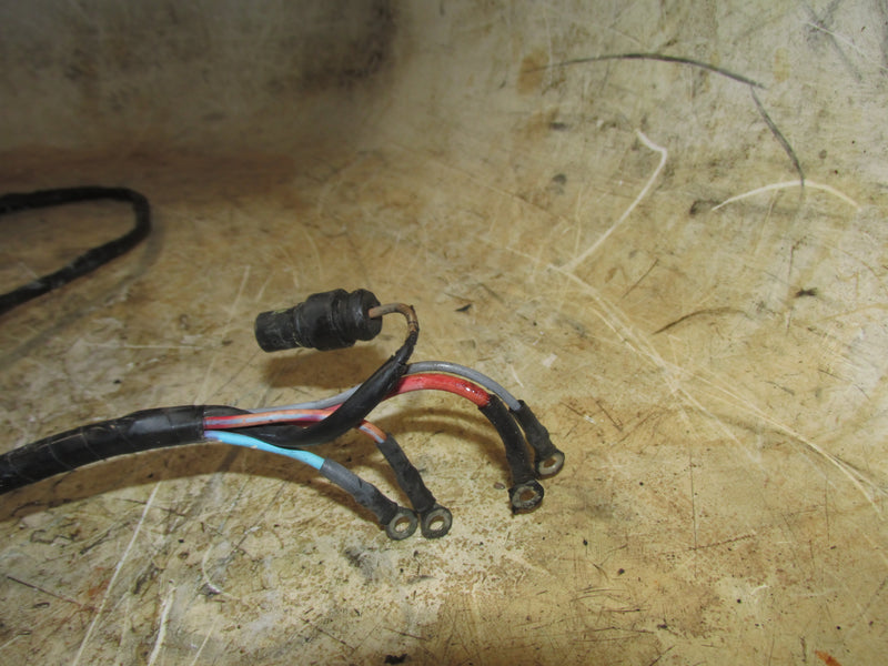 Evinrude 115hp 2 Stroke Outboard Engine Wiring Harness (586027)