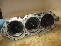 Load image into Gallery viewer, Evinrude 150hp Ficht 2 stroke outboard port cylinder (347308)
