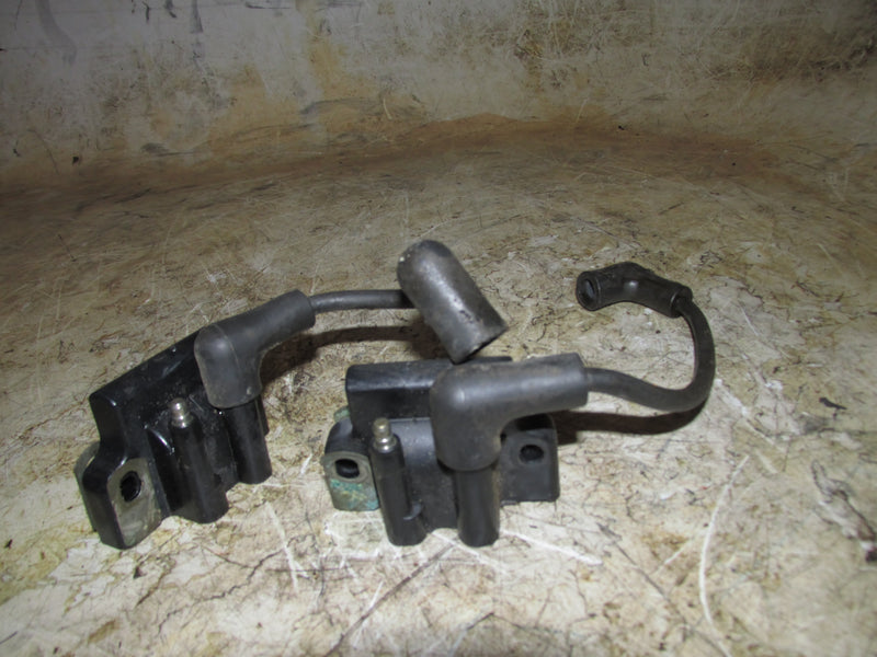 Evinrude 4hp 2 Stroke Outboard Ignition Coil Set (582508/584315)