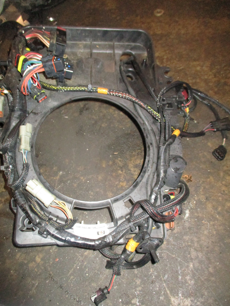 Evinrude ETEC 115hp 2 stroke outboard engine wiring harness (586891)