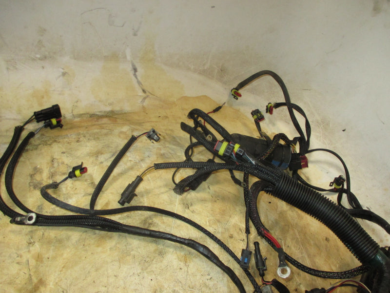 Evinrude Etec 150hp 2 stroke outboard engine wiring harness (586802-G)