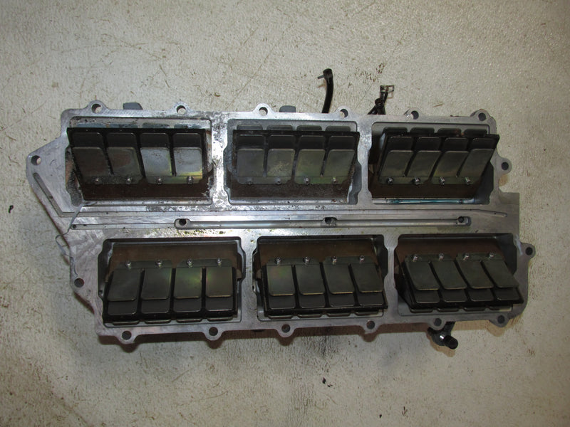 Yamaha 150hp 2 Stroke Outboard Intake Manifold and Reeds