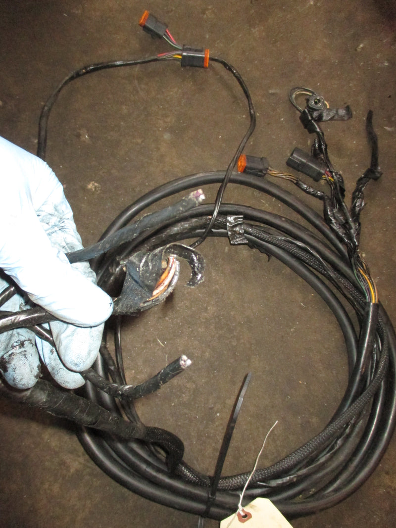 Johnson / Evinrude BRP 15' Rigging / Wiring harness #76