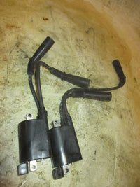 Load image into Gallery viewer, Suzuki DF60 60hp 4 Stroke Outboard Ignition Coil Set (33410-99E00)
