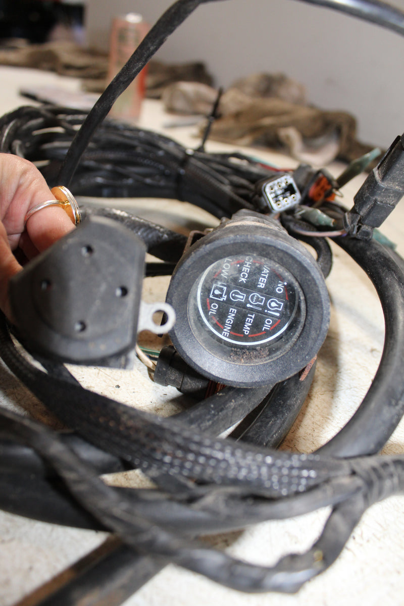 Johnson Evinrude 10FT BRP Rigging Harness/Monitor Gauge