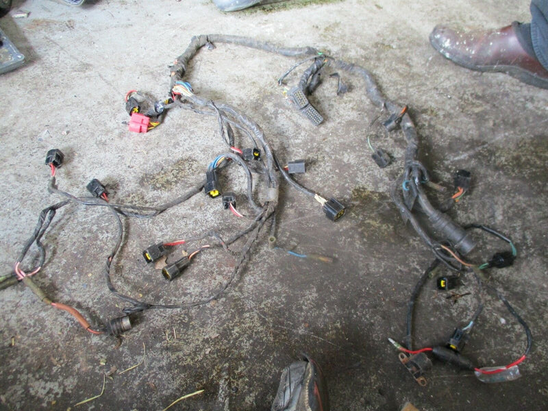 1994 Yamaha VX250 2-stroke outboard engine wiring harness