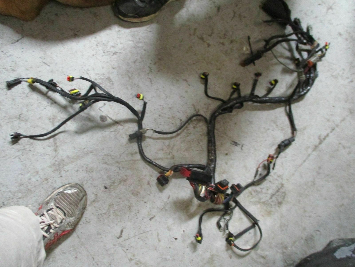 2006 Evinrude E-Tec 250hp outboard complete engine wiring harness