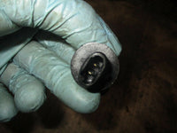 Load image into Gallery viewer, 2006 Yamaha 150hp 4 stroke outboard inlet temp sensor
