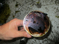 Load image into Gallery viewer, 2001 Evinrude 4 stroke 70PL4S1A 70hp outboard piston and rod 5030643,5030646
