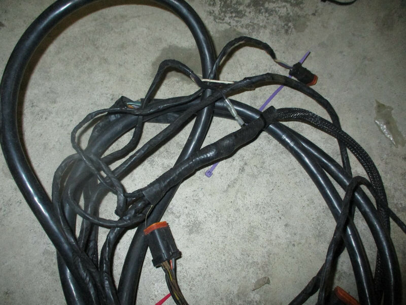 Johnson Evinrude outboard 8ft BRP rigging harness