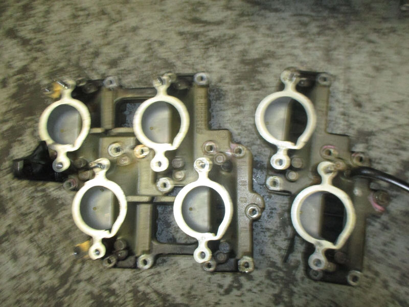 Evinrude Ocean Pro 200 hp outboard intake manifold with reed valve set