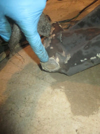 Load image into Gallery viewer, 2004 Evinrude Ficht E250FPXSRM Outboard Tilt Trim Unit (Bottom pinion cut)
