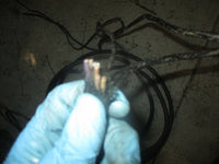 Load image into Gallery viewer, Evinrude ETEC 175hp outboard 17ft BRP rigging harness
