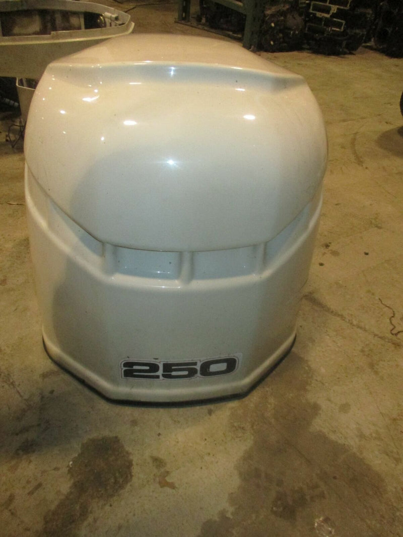 2004 Evinrude Ficht E250FPXSRM Outboard Top Cowling