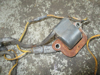 Load image into Gallery viewer, Evinrude outboard 2-stroke E100STLESB Ignition coil set of 4
