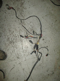 Load image into Gallery viewer, Evinrude 112hp outboard engine wiring harness (586027)
