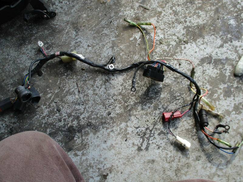 2004 Johnson/Suzuki 25hp 4 stroke outboard comp wiring harness 89j80