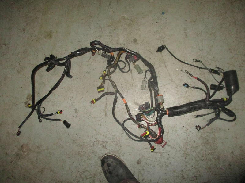 Evinrude ETEC 115hp outboard engine wiring harness (586801)
