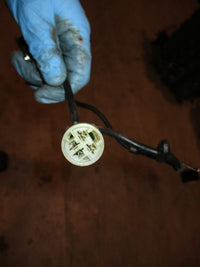 Load image into Gallery viewer, Honda 130hp 4 stroke outboard pulsor coil set
