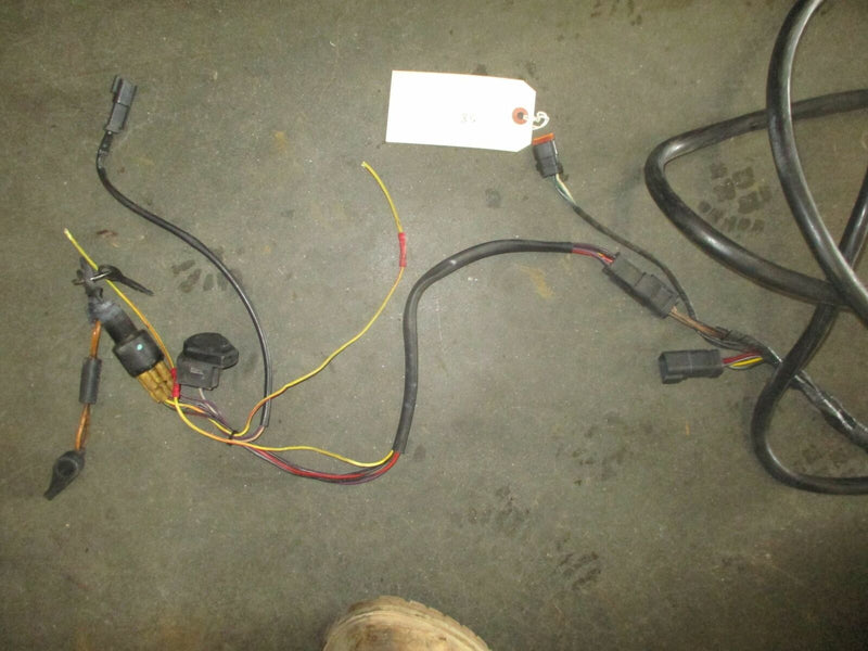Johnson Evinrude outboard 23ft BRP style rigging harness