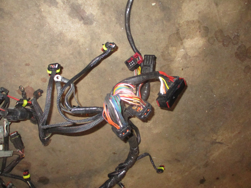 Evinrude ETEC 225hp outboard engine wiring harness (586769-K)