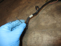 Load image into Gallery viewer, Suzuki 55hp 2 stroke outboard engine wiring harness (36610-94780)
