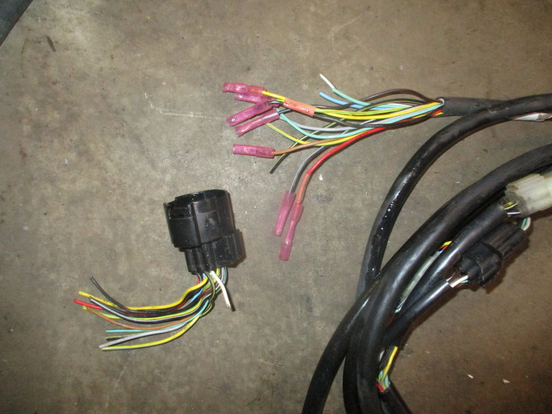Honda 4 stroke outboard 15' rigging harness