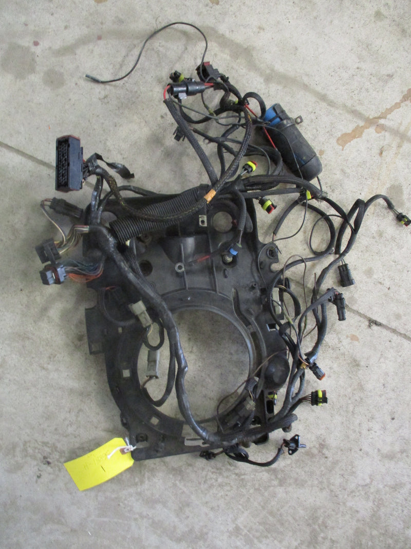Evinrude ETEC Wiring Harness (36881-H) #1