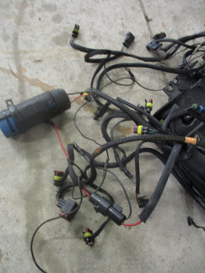 Evinrude ETEC Wiring Harness (36881-H) #1
