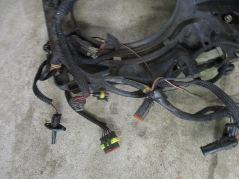 Evinrude ETEC Wiring Harness (36881-H) #1