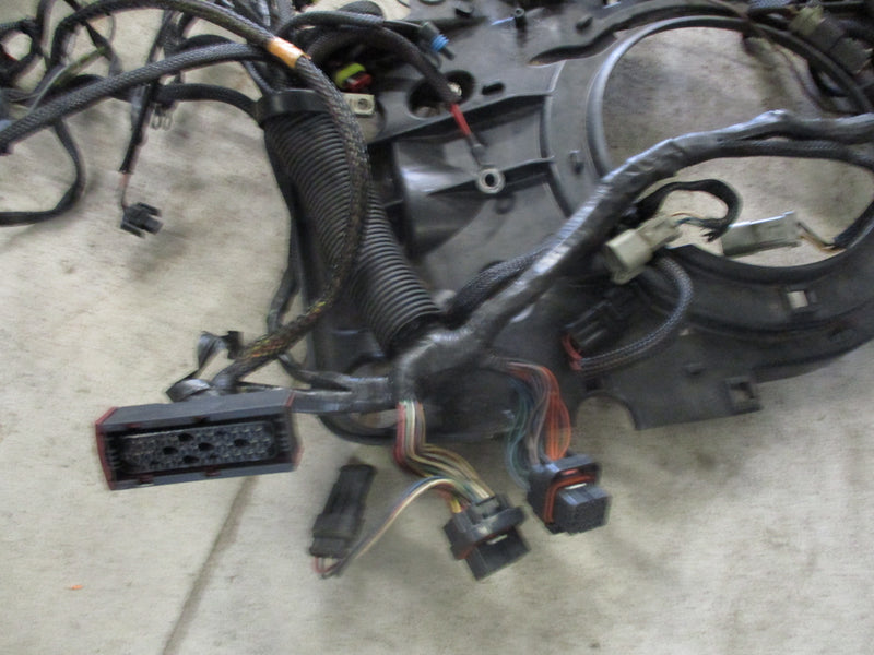Evinrude ETEC Wiring Harness (36881-H) #1