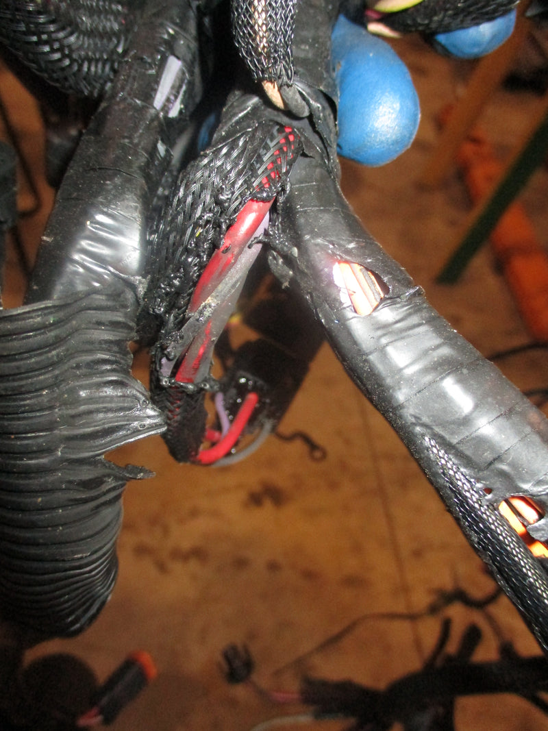 Evinrude Ficht 150hp 2 stroke outboard engine wiring harness