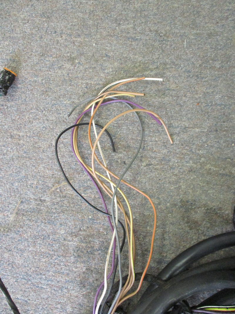 Johnson Evinrude outboard 16ft BRP style rigging harness