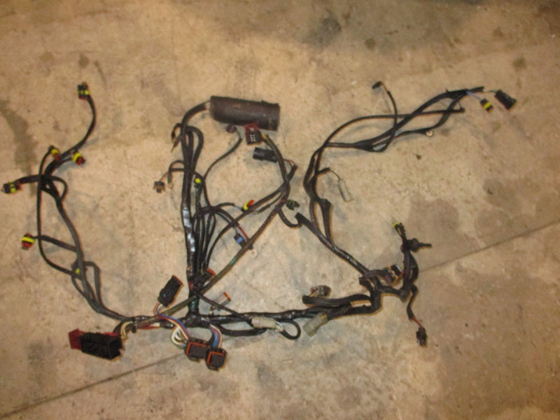 Evinrude ETEC 200hp outboard engine wiring harness (586802-D)