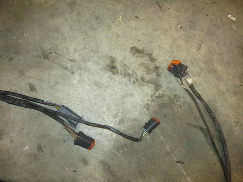Evinrude outboard BRP 18' rigging harness